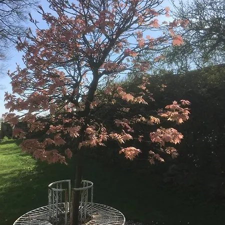 Littlebank Bed & Breakfast Settle