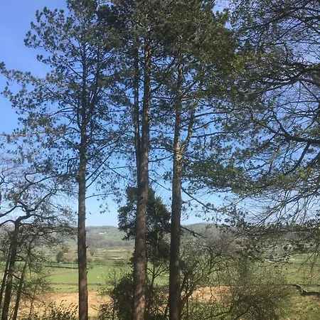 Bed & Breakfast Littlebank 5*