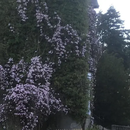 Littlebank Bed & Breakfast Settle