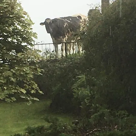 Littlebank Bed & Breakfast Settle