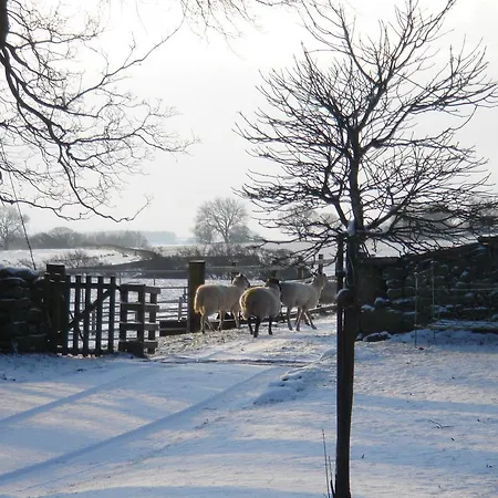 Bed & Breakfast Littlebank 5*