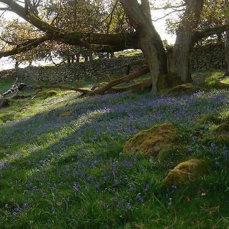 Bed & Breakfast Littlebank Settle