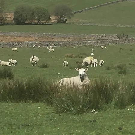 Oda ve Kahvaltı Littlebank Settle