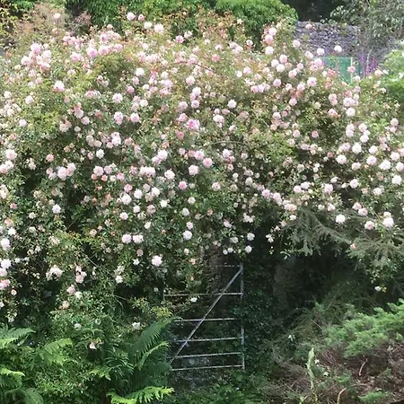 Oda ve Kahvaltı Littlebank