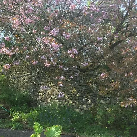 Littlebank Oda ve Kahvaltı Settle