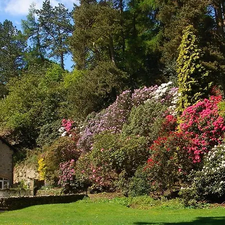 Frühstückspension Littlebank