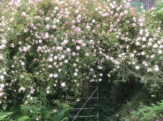 Bed & Breakfast Littlebank