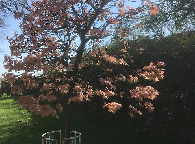 Littlebank Bed & Breakfast Settle