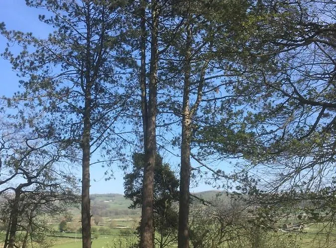 Bed & Breakfast Littlebank 5*