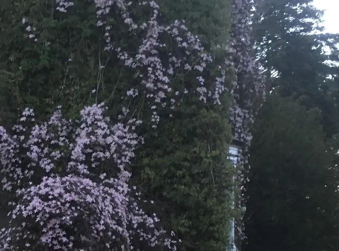 Littlebank Bed & Breakfast Settle