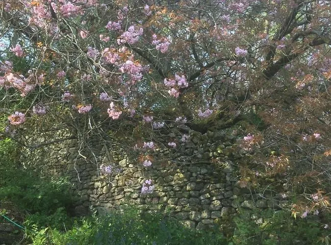 Littlebank Bed & Breakfast Settle