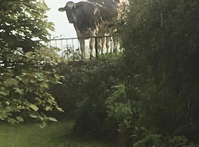 Littlebank Bed & Breakfast Settle