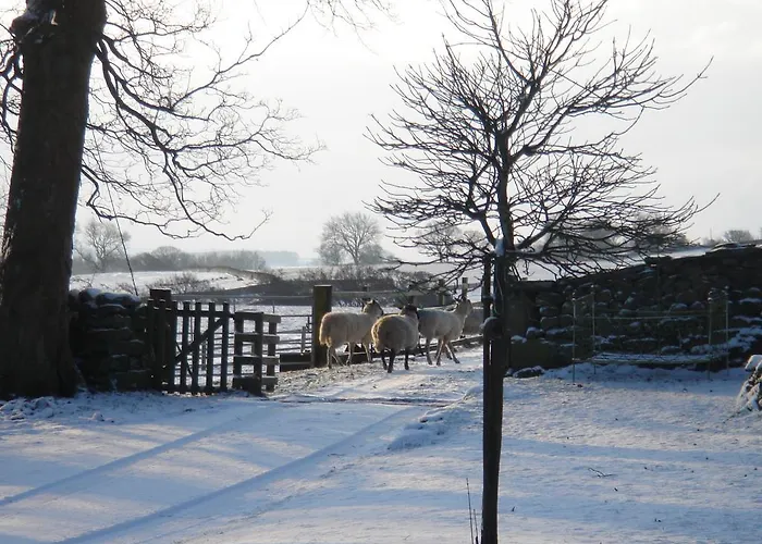 Bed & Breakfast Littlebank 5*