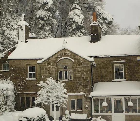 Bed & Breakfast Littlebank 5*