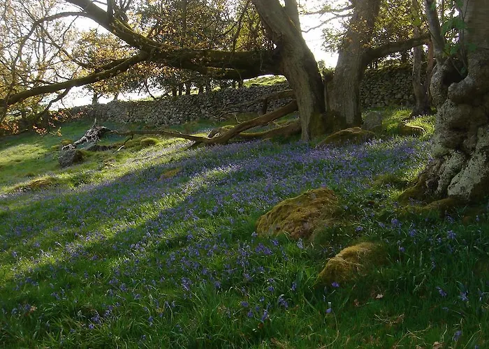 Bed & Breakfast Littlebank Settle